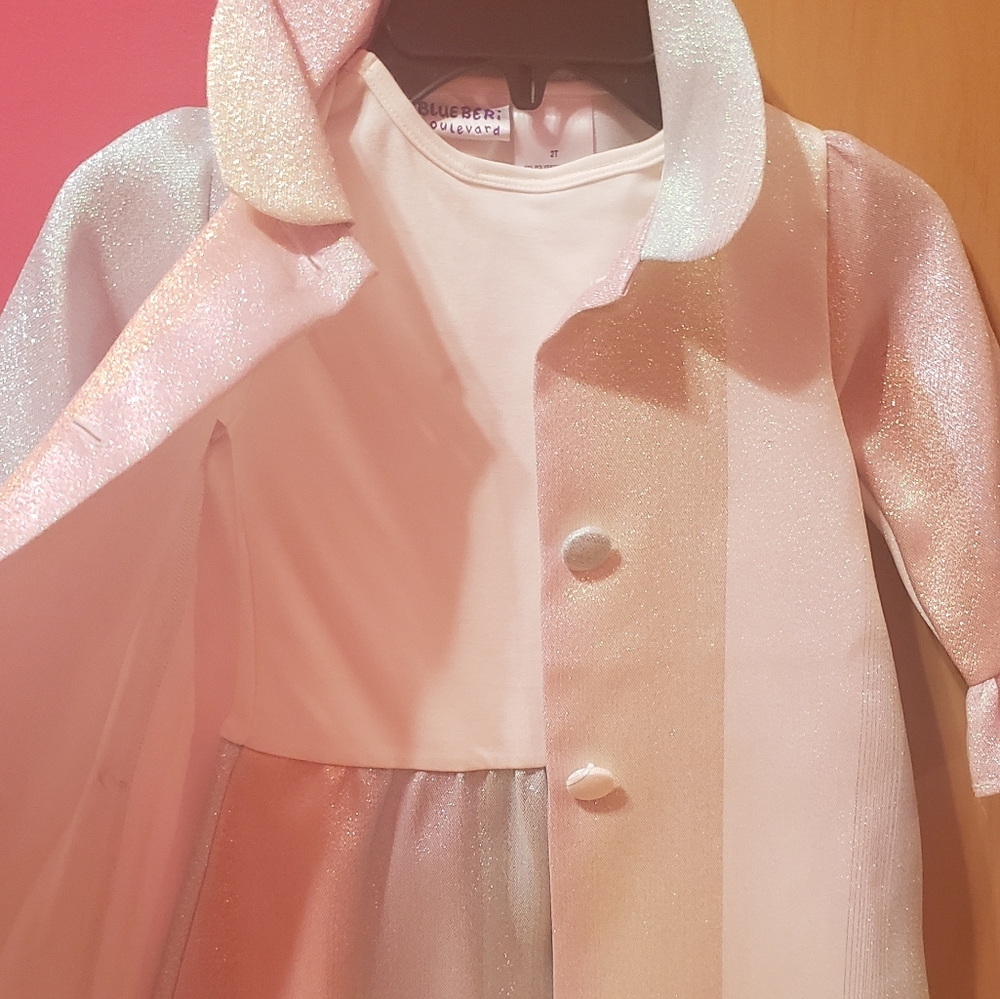 Pastel shimmered dress
